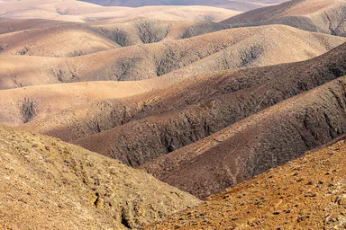 Fuerteventura: immagine della destinazione