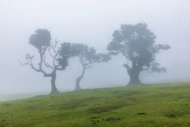 Madeira: immagine della destinazione