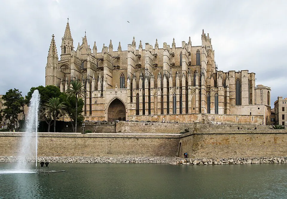 palma: immagine della destinazione