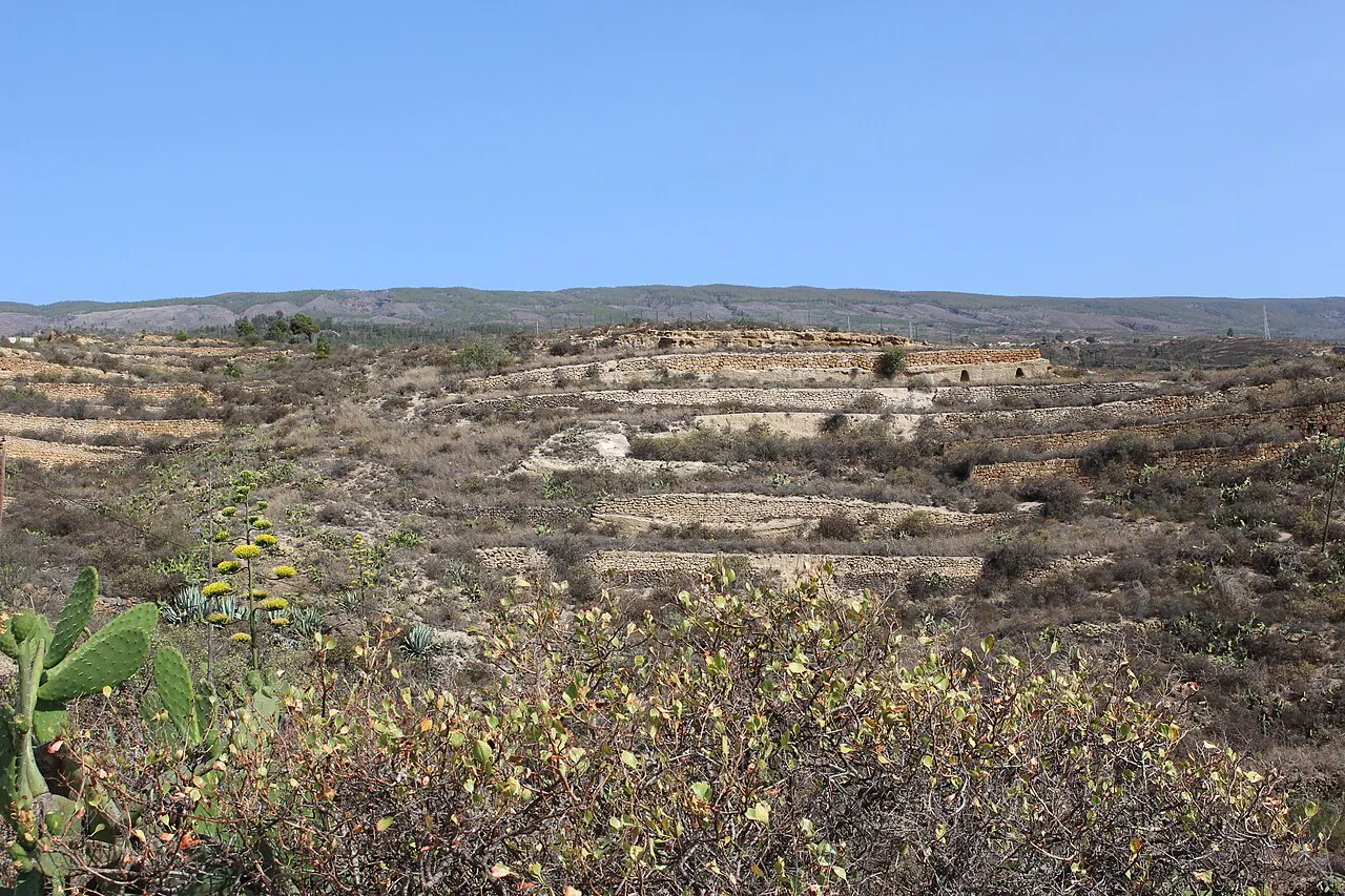 tenerife: immagine della destinazione